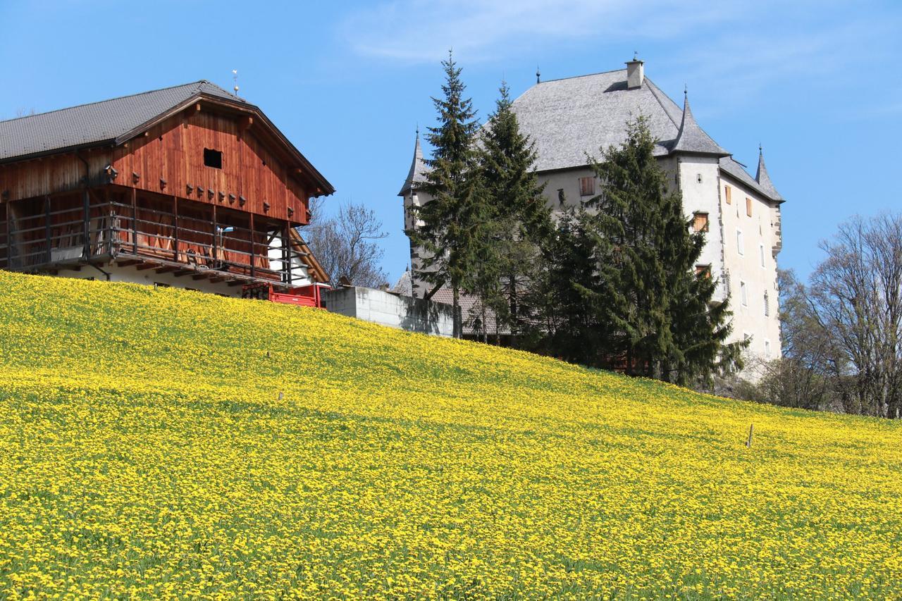 Bed and Breakfast Medesc La Villa  Zewnętrze zdjęcie
